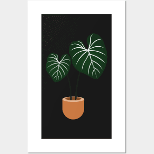 Philodendron gloriosum plant Posters and Art